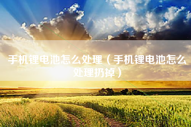 手机锂电池怎么处理(手机锂电池怎么处理扔掉)