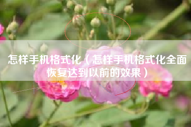 怎样手机格式化(怎样手机格式化全面恢复达到以前的效果)