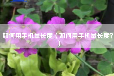 如何用手机量长度(如何用手机量长度?)