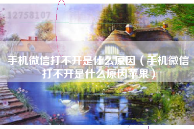 手机微信打不开是什么原因(手机微信打不开是什么原因苹果)