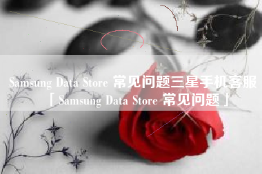 Samsung Data Store 常见问题三星手机客服「Samsung Data Store 常见问题」