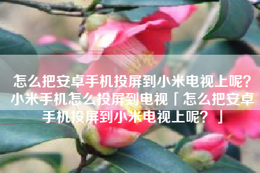 怎么把安卓手机投屏到小米电视上呢?小米手机怎么投屏到电视「怎么把安卓手机投屏到小米电视上呢?」